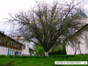 ROMANIA - Cernica Monastery